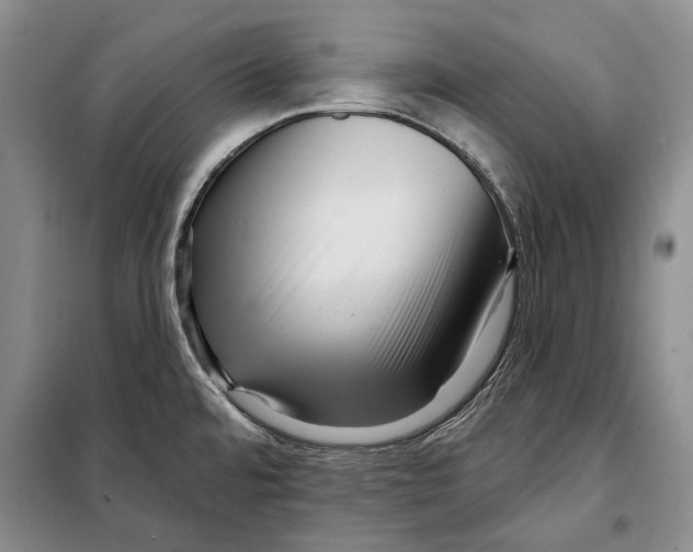 X0000097971480200804210958