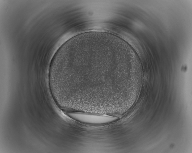 X0000097971482200804210958