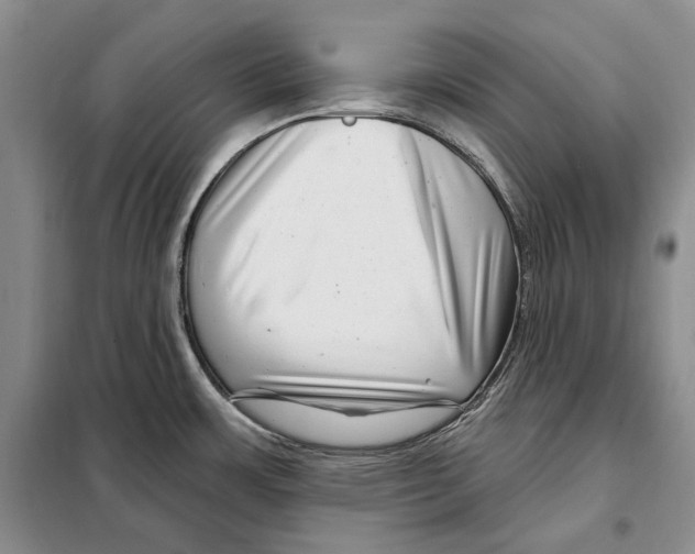 X0000097971483200804210958