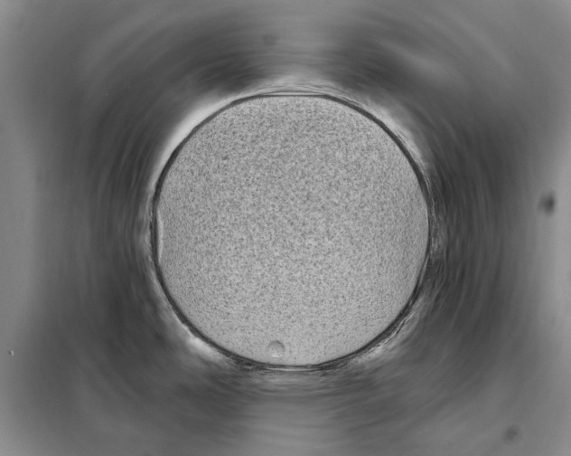 X0000097971486200804210958