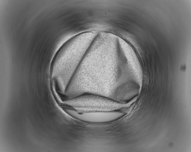 X0000097971487200804210958