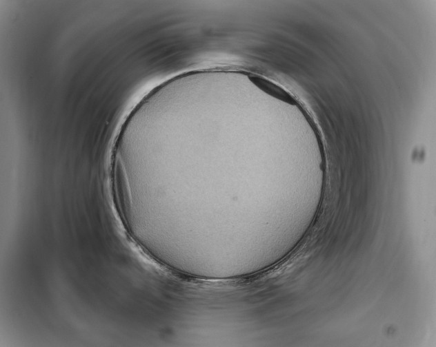 X0000097971488200804210958