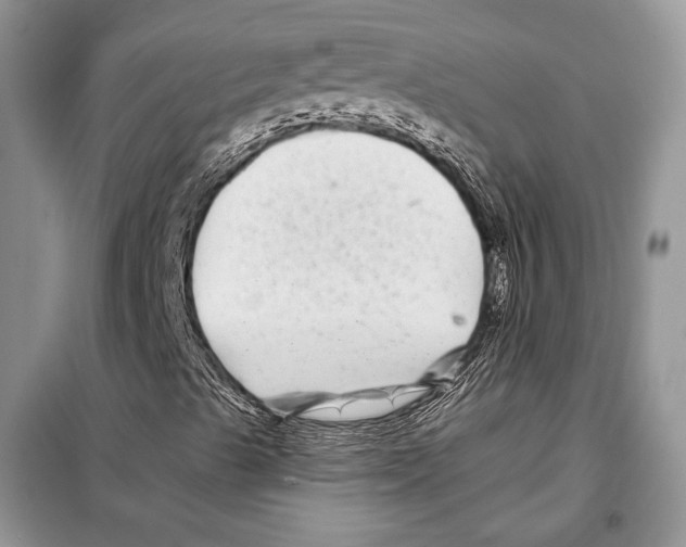 X0000097971489200804210957