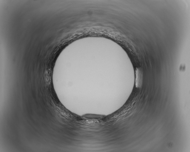 X0000097971491200804210957