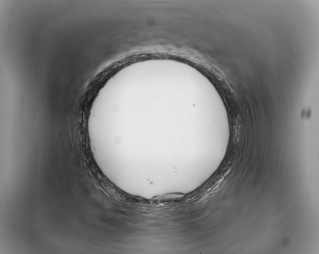 X0000097971494200804210957