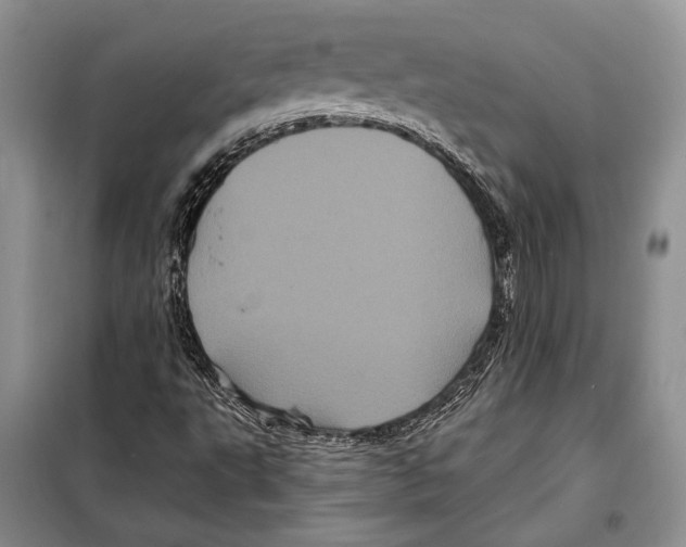 X0000097971495200804210957