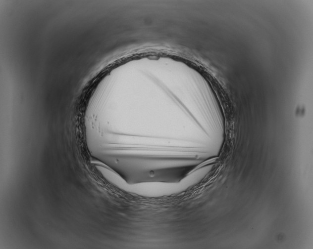 X0000097971496200804210957