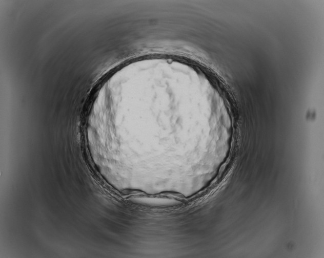 X0000097971497200804210957
