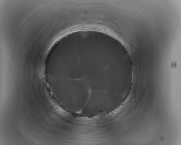 X0000097971498200804210957