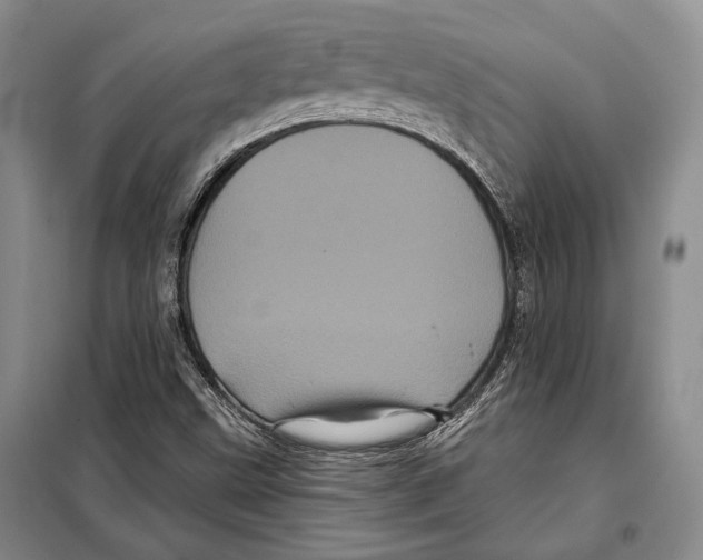 X0000097971499200804210957