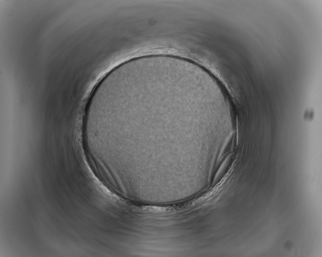 X0000097971500200804210957