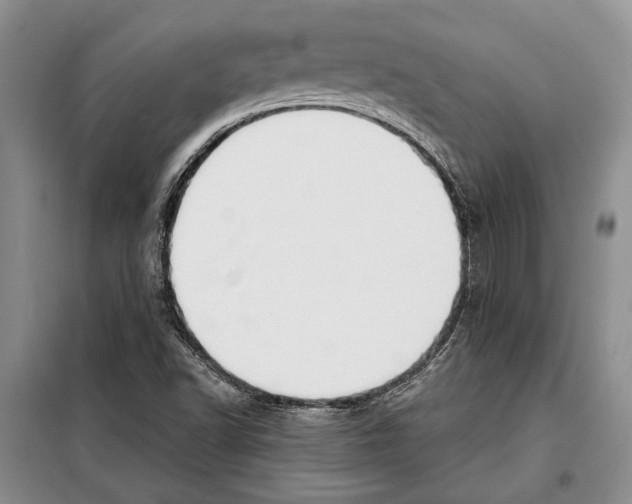 X0000097971502200804210957