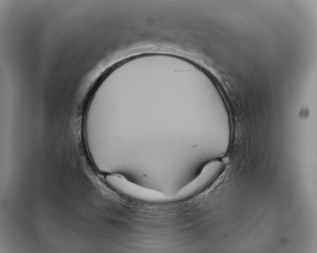 X0000097971503200804210957