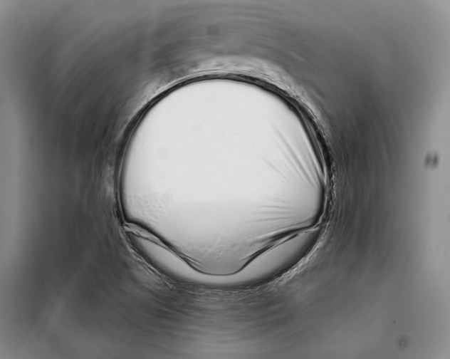 X0000097971505200804210957
