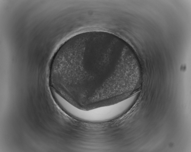 X0000097971508200804210957