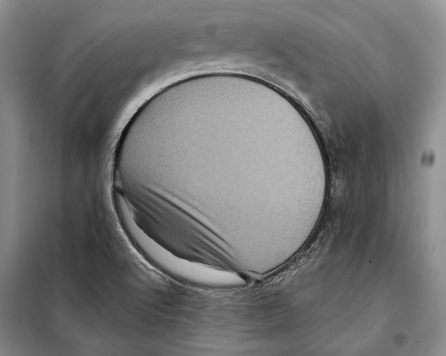 X0000097971512200804210957