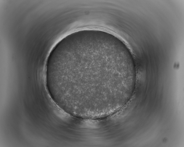 X0000097971514200804210958