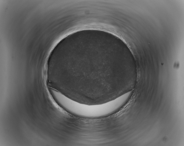 X0000097971515200804210958