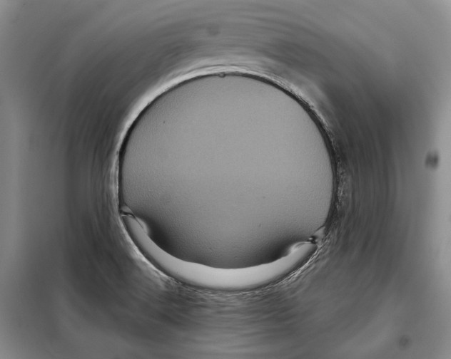 X0000097971516200804210958