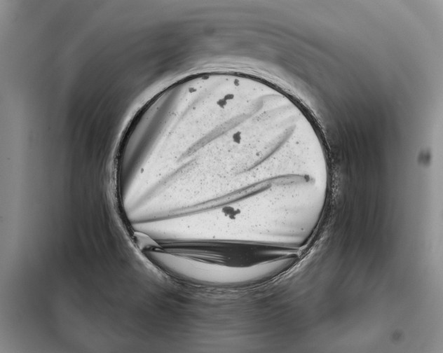 X0000097971517200804210958