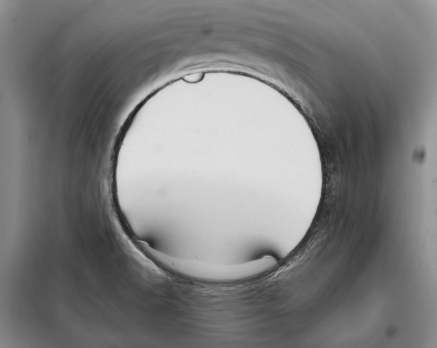 X0000097971518200804210958