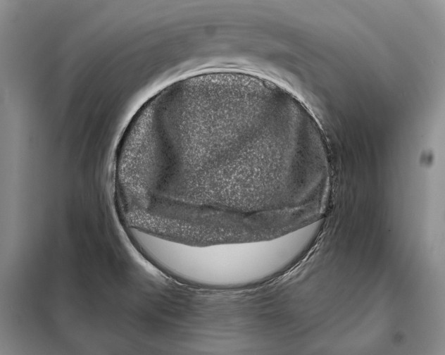 X0000097971519200804210958