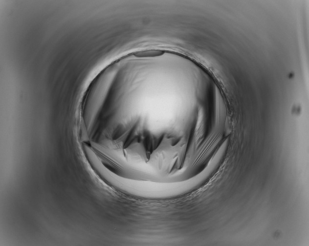 X0000097971520200804210958