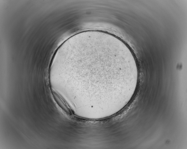 X0000097971521200804210958