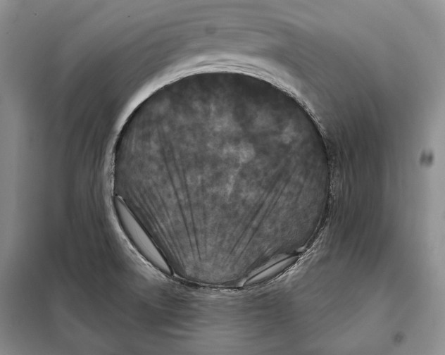 X0000097971522200804210958