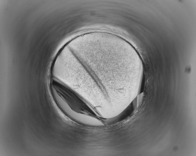 X0000097971523200804210958