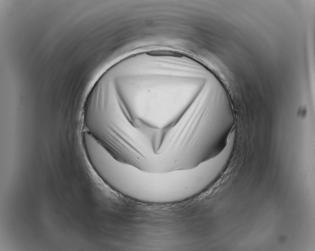 X0000097971524200804210958