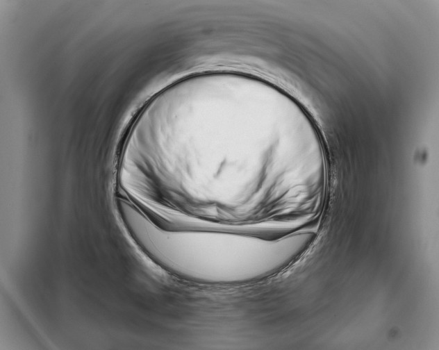 X0000097971525200804210958