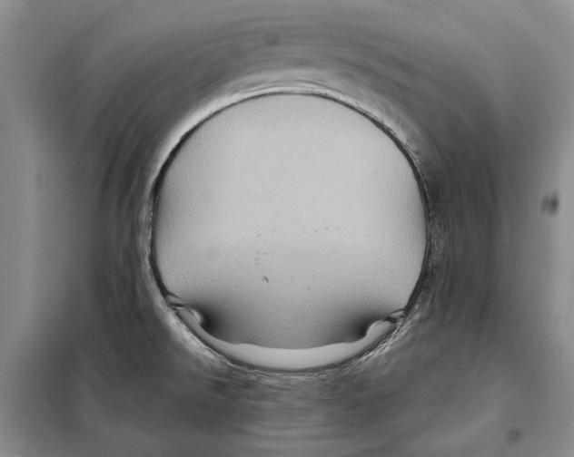 X0000097971526200804210958