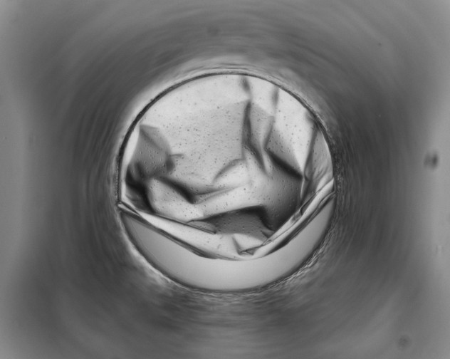 X0000097971527200804210958