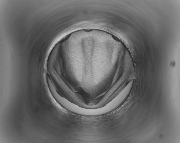 X0000097971528200804210958
