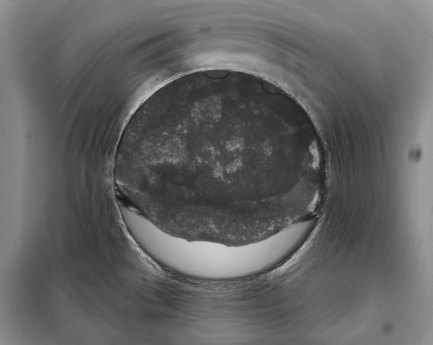 X0000097971529200804210958