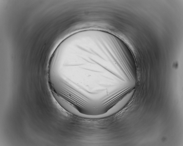 X0000097971532200804210958