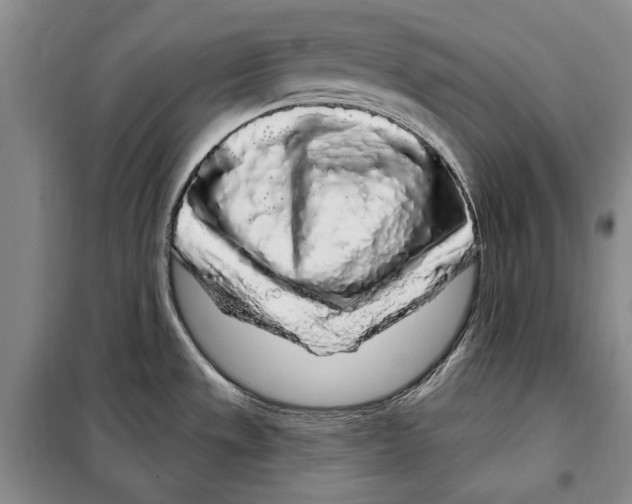 X0000097971533200804210958