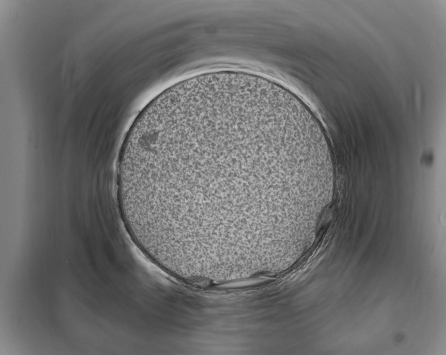 X0000097971535200804210958