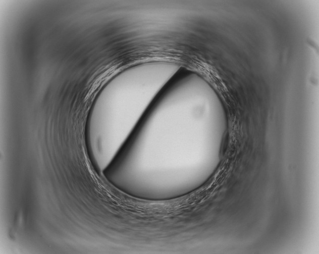 X0000097980001200803241052