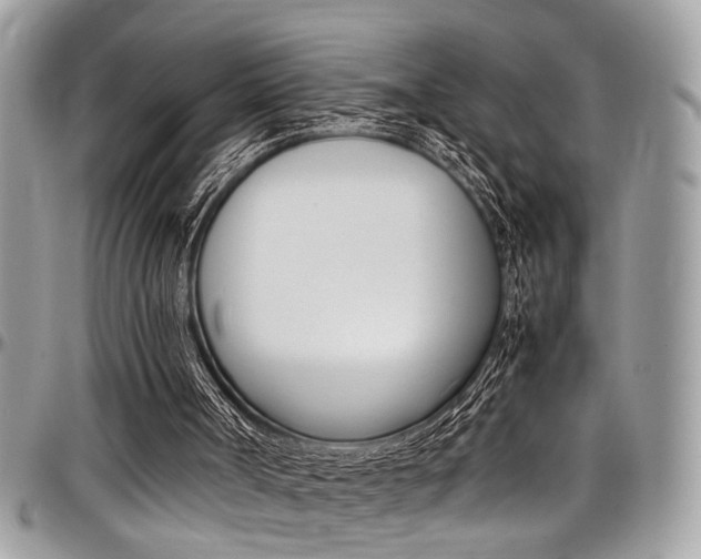 X0000097980002200803241052