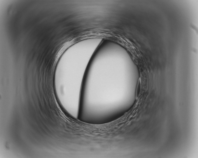 X0000097980003200803241052