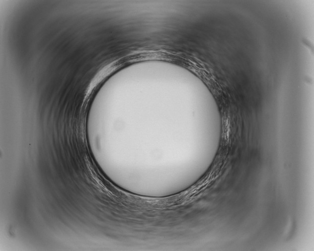 X0000097980004200803241052