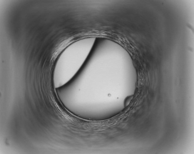 X0000097980005200803241052