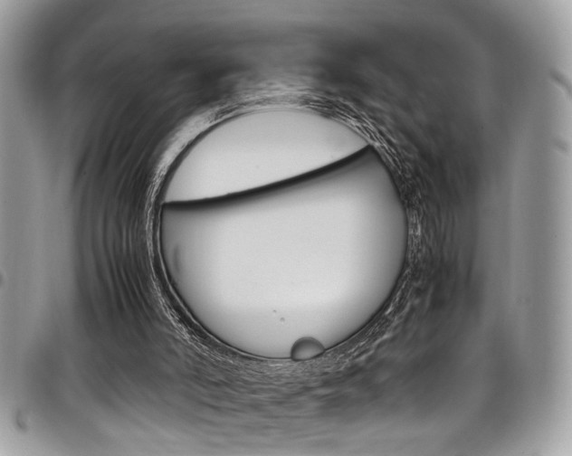 X0000097980006200803241052