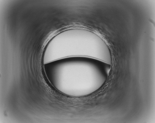 X0000097980007200803241052