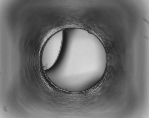 X0000097980008200803241052