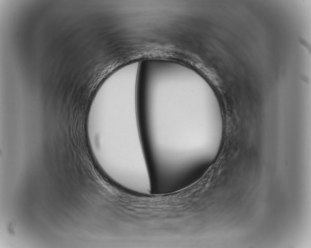 X0000097980009200803241052