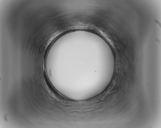 X0000097980011200803241052