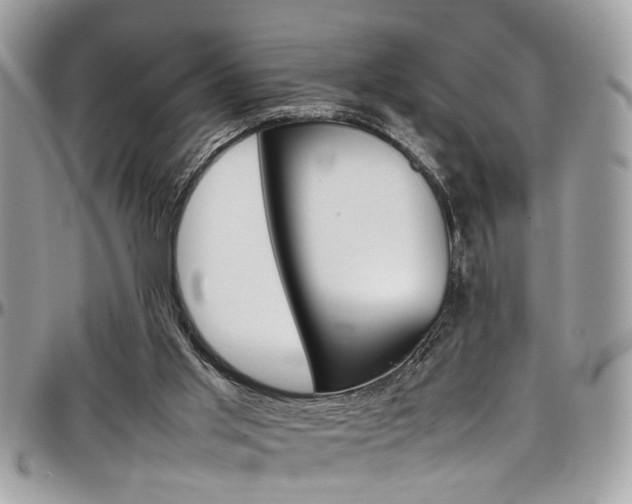 X0000097980013200803241052